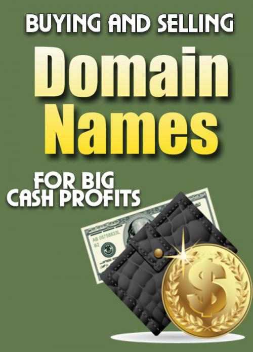 Cover of the book Buying and Selling Domain Names by Thrivelearning Institute Library, Midwest Journal Press