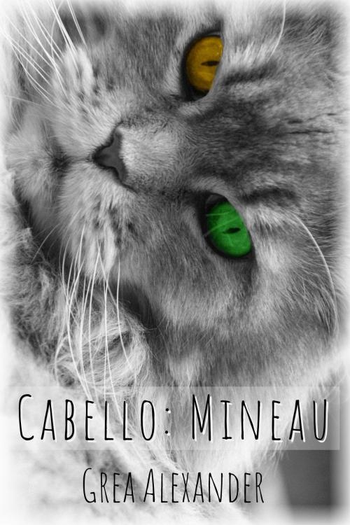 Cover of the book Cabello: Mineau by Grea Alexander, Grea Alexander