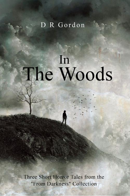 Cover of the book In the Woods by DR Gordon, DR Gordon