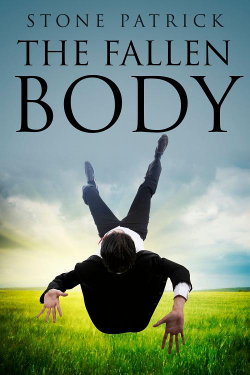 Cover of the book The Fallen Body by Tayman International Ventures LLC, Tayman International Ventures LLC