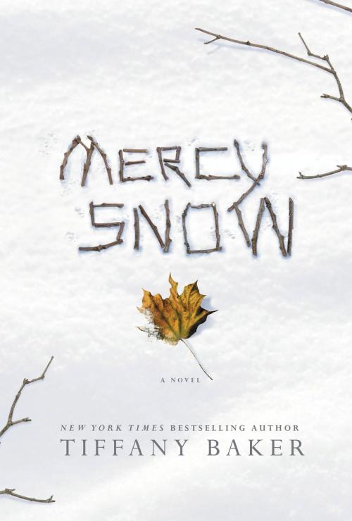 Cover of the book Mercy Snow by Tiffany Baker, Grand Central Publishing