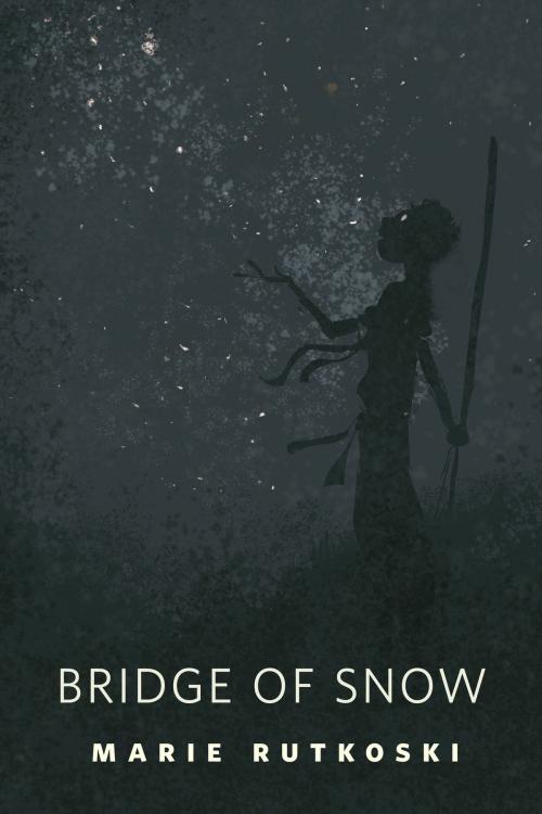 Cover of the book The Bridge of Snow by Marie Rutkoski, Tom Doherty Associates