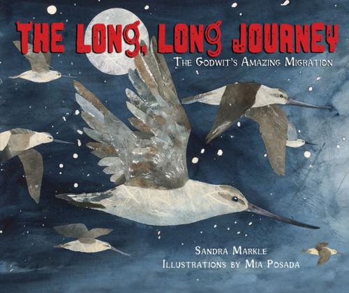 Cover of the book The Long, Long Journey by Sandra Markle, Lerner Publishing Group