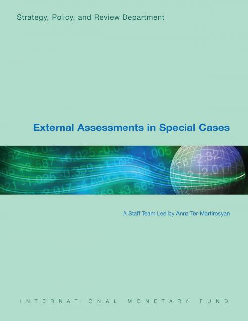 Cover of the book External Assessments in Special Cases by Anna  Ter-Martirosyan, Sally F. (Sally Fangnan) Ms. Chen, Lawrence  Mr. Dwight, Mwanza  Mrs. Nkusu, Mehdi  Mr. Raissi, Ashleigh  Ms. Watson, INTERNATIONAL MONETARY FUND