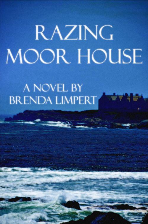 Cover of the book Razing Moor House by Brenda Limpert, BookBaby