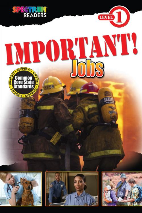 Cover of the book IMPORTANT! Jobs by Teresa Domnauer, Carson Dellosa Education