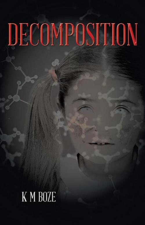 Cover of the book Decomposition by K M Boze, Trafford Publishing