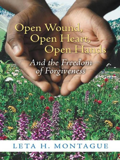 Cover of the book Open Wound, Open Heart, Open Hands by Leta H. Montague, WestBow Press