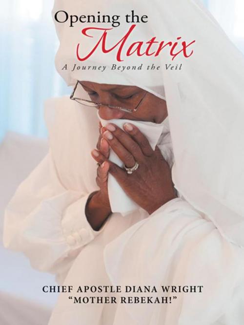 Cover of the book Opening the Matrix by Chief Apostle Diana Wright, iUniverse