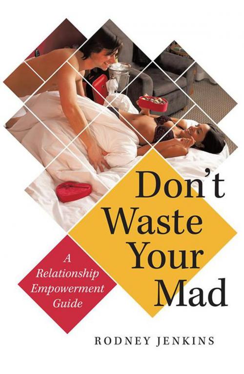 Cover of the book Don’T Waste Your Mad by Rodney Jenkins, iUniverse