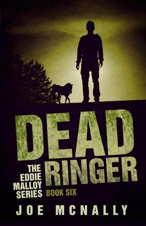 Cover of the book Dead Ringer by joe mcnally, joe mcnally