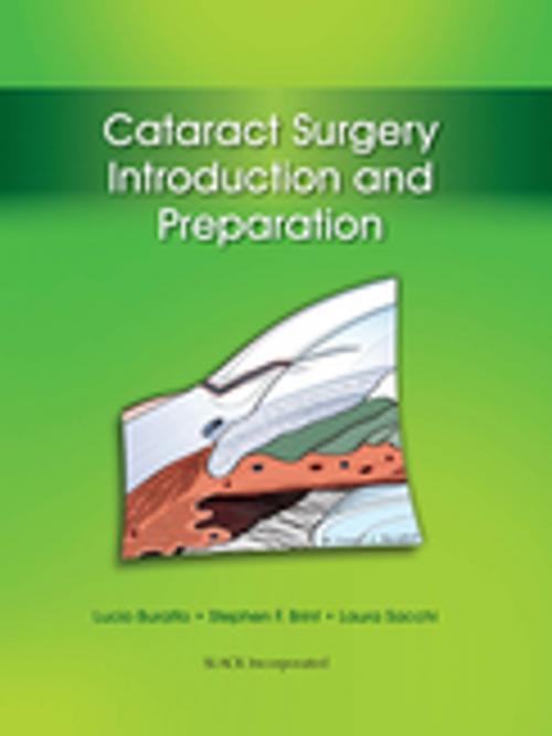 Cover of the book Cataract Surgery by , SLACK Incorporated