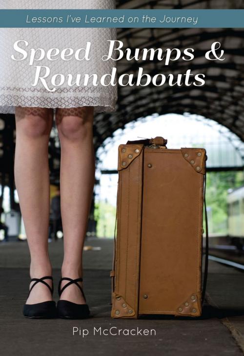 Cover of the book Speed bumps and Roundabouts by Pip McCracken, Ambassador International