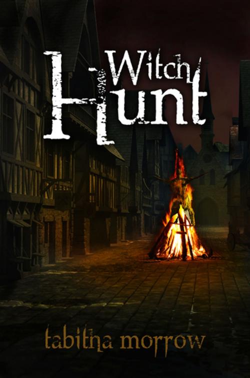 Cover of the book Witch Hunt by Tabitha Morrow, Diversion Books