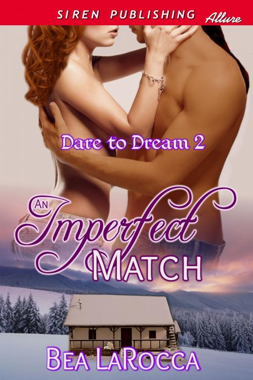 Cover of the book An Imperfect Match by Bea LaRocca, Siren-BookStrand