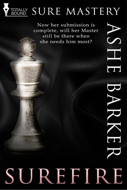 Cover of the book Surefire by Ashe Barker, Totally Entwined Group Ltd