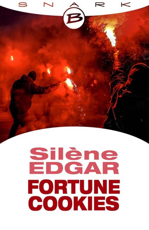 Cover of the book Fortune Cookies by Silène Edgar, Bragelonne