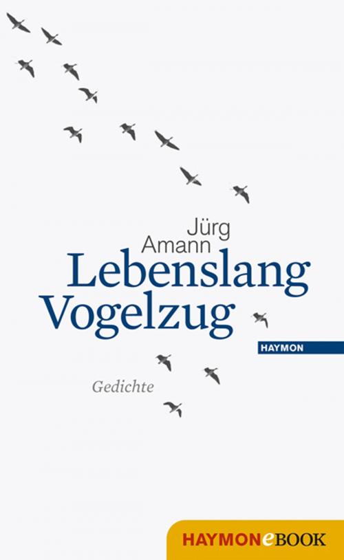 Cover of the book Lebenslang Vogelzug by Jürg Amann, Haymon Verlag