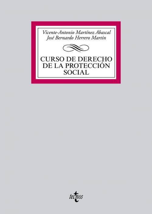 Cover of the book Curso de Derecho de la protección social by Vicente-Antonio Martínez Abascal, José Bernardo Herrero Martín, Tecnos