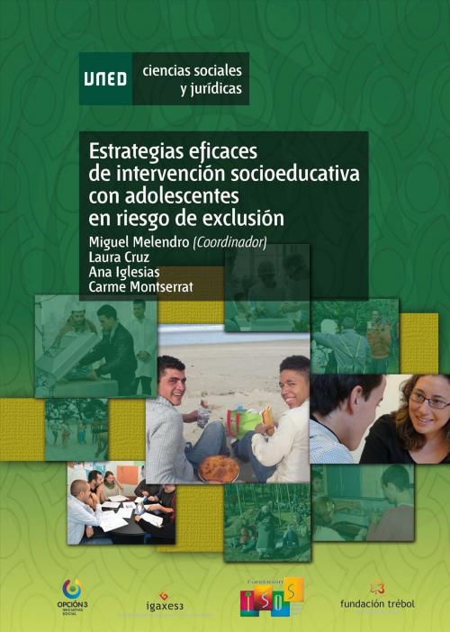 Cover of the book Estrategias Eficaces de Intervención Socioeducativa con Adolescentes en Riesgo de Exclusión by Miguel Melendro Estefanía, Laura Cruz López, Ana Iglesias Galdo, Carme Montserrat Boada, UNED