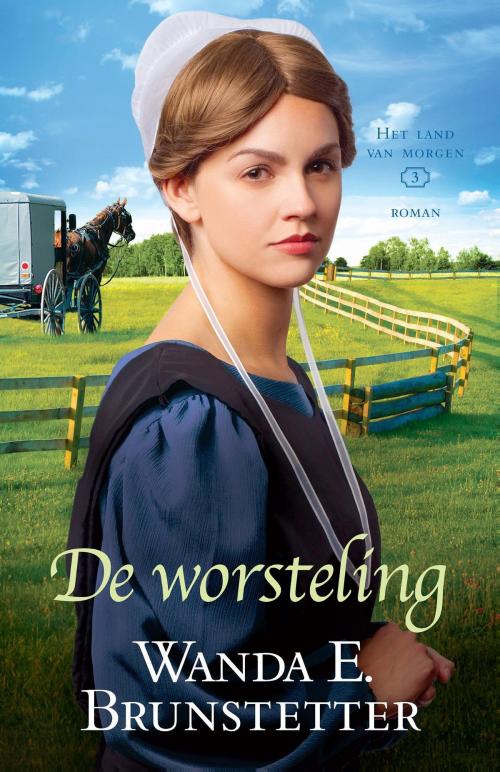 Cover of the book De worsteling by Wanda E. Brunstetter, VBK Media