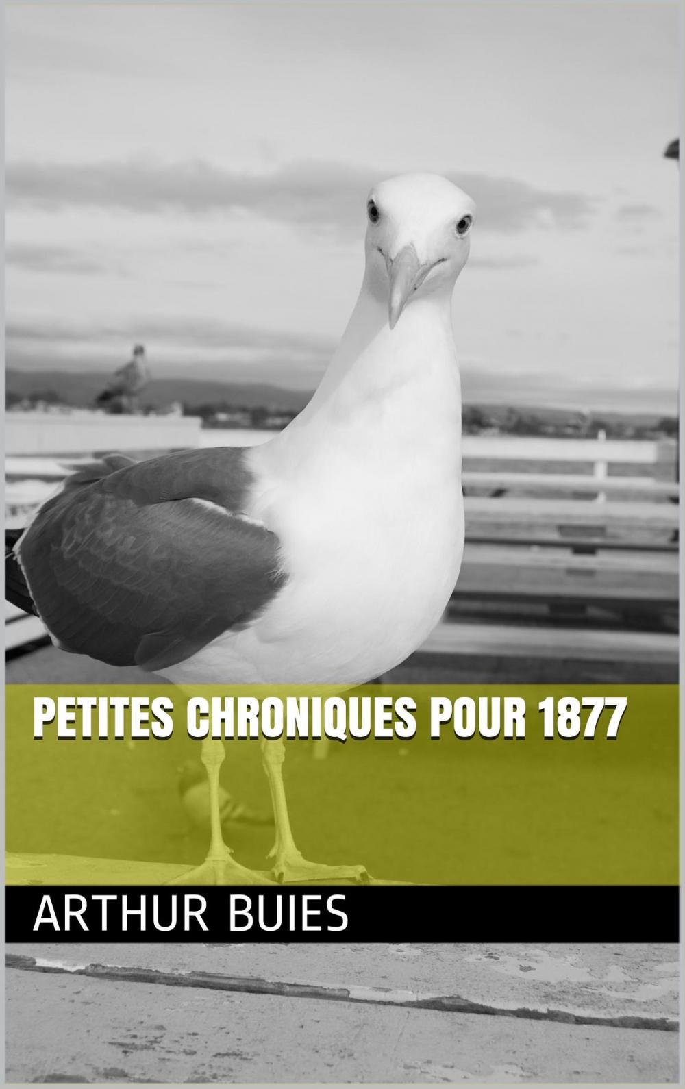 Big bigCover of Petites chroniques pour 1877