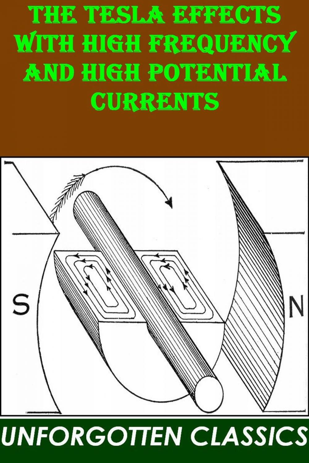 Big bigCover of THE TESLA EFFECTS WITH HIGH FREQUENCY AND HIGH POTENTIAL CURRENTS