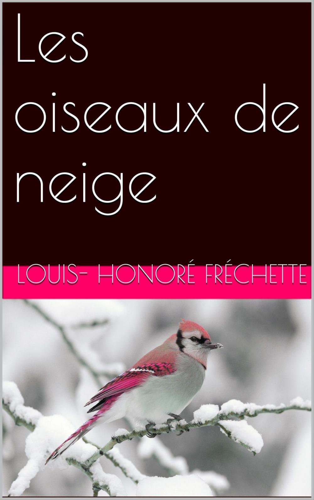 Big bigCover of Les oiseaux de neige