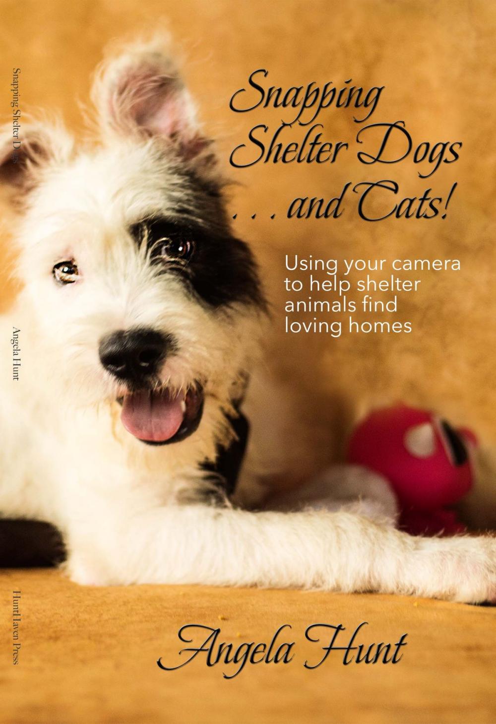 Big bigCover of Snapping Shelter Dogs . . . and Cats!