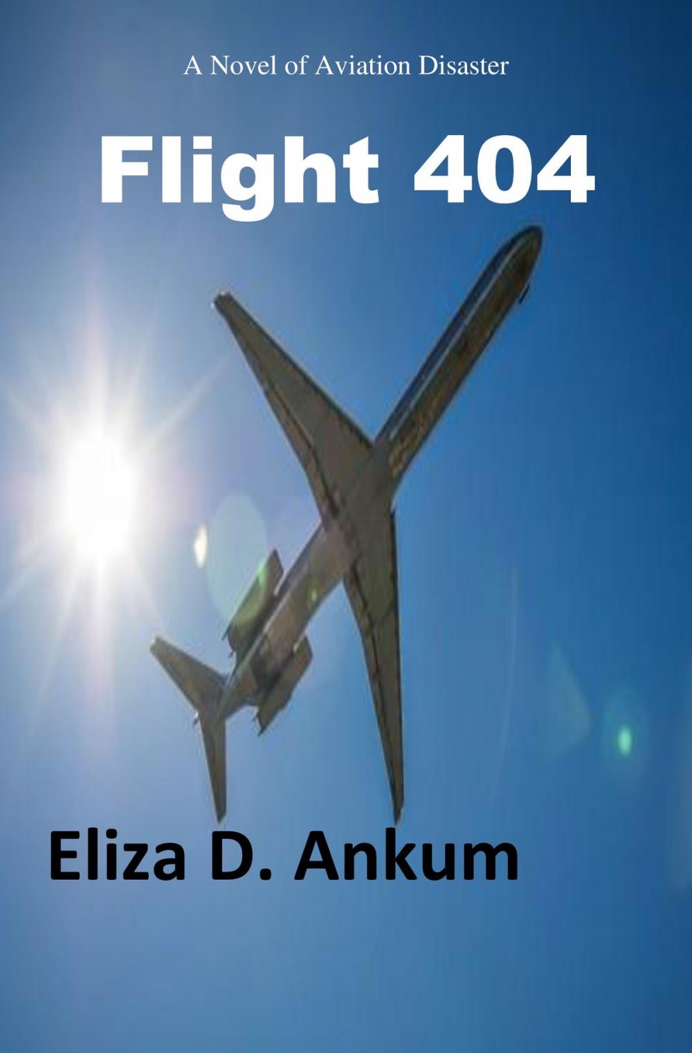 Big bigCover of Flight 404
