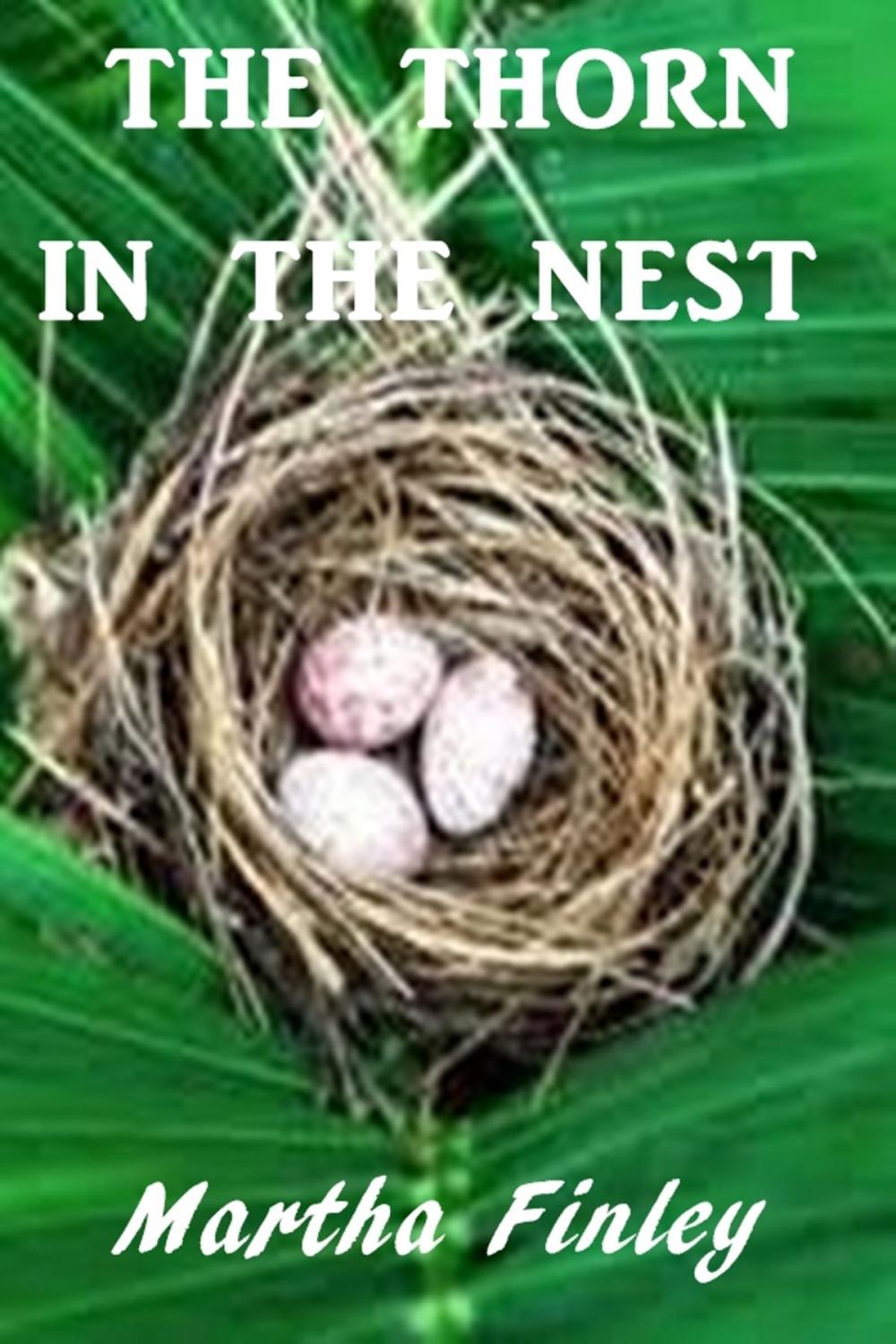 Big bigCover of The Thorn in the Nest