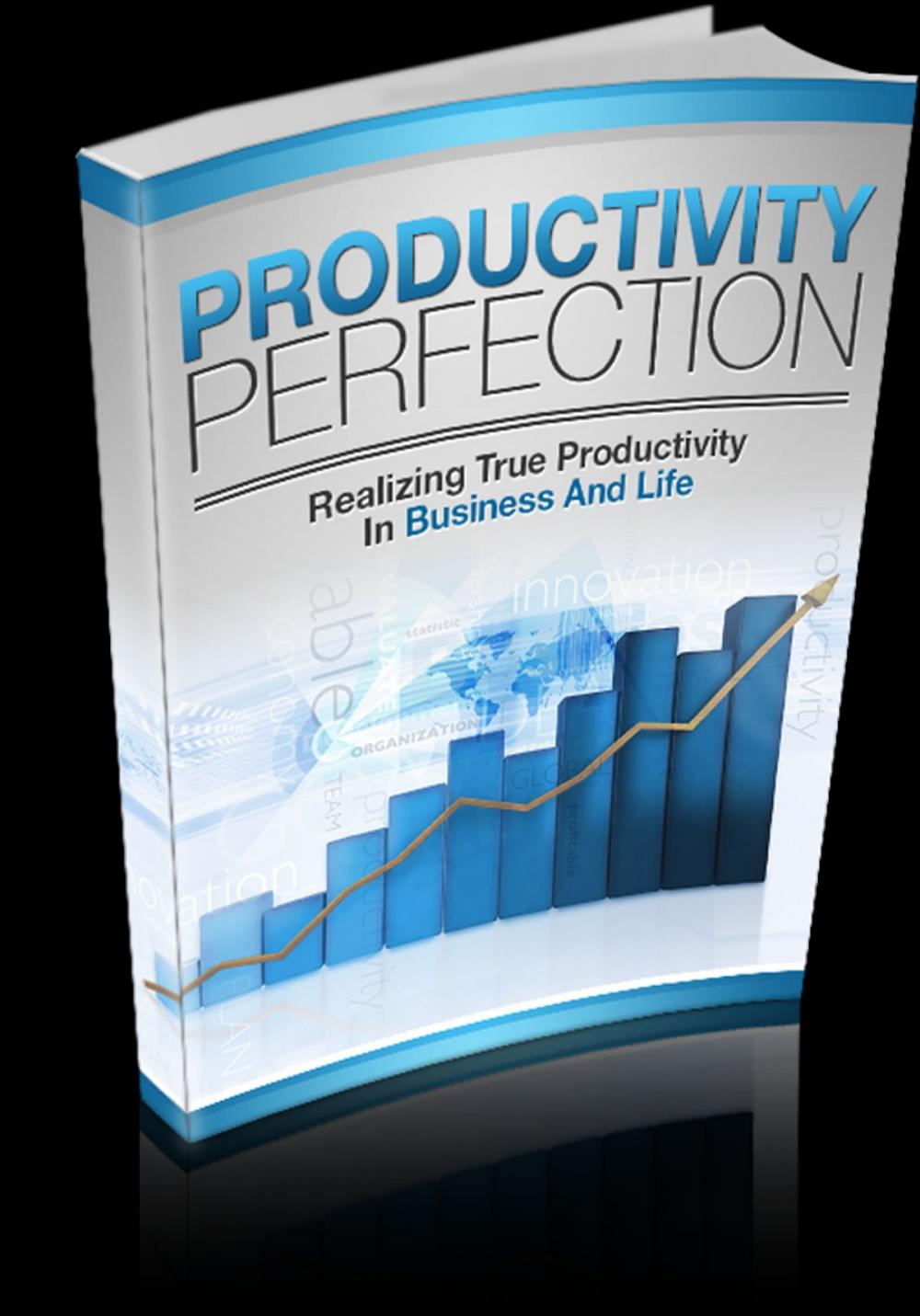 Big bigCover of Productivity Perfection