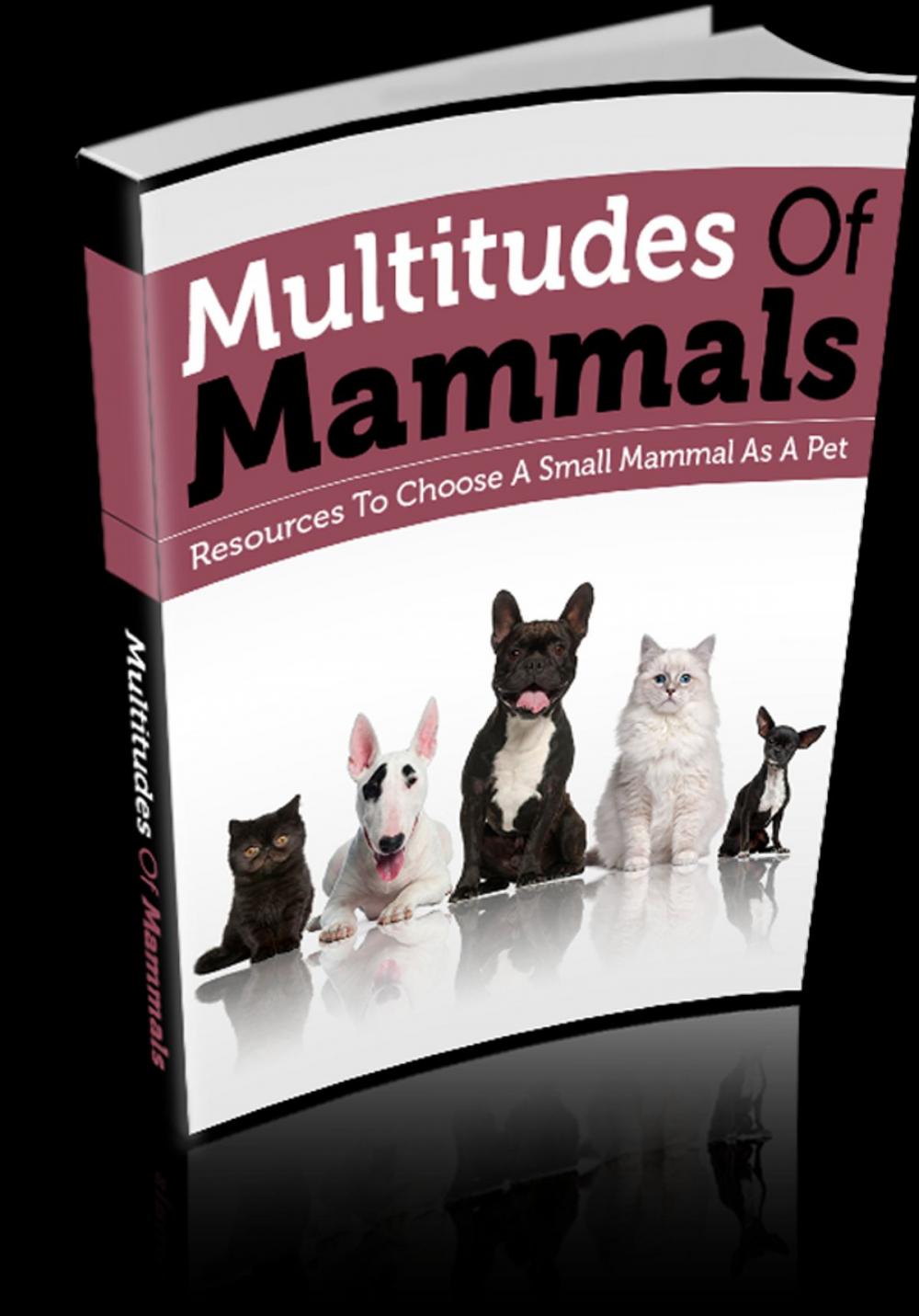 Big bigCover of Multitudes Of Mammals