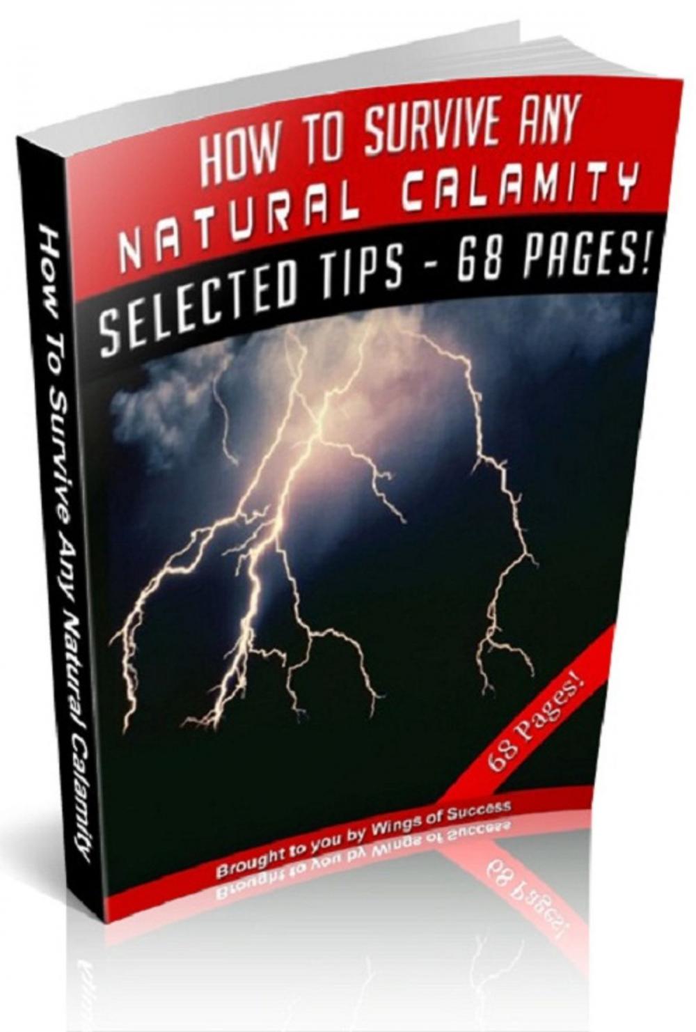 Big bigCover of How To Survive Any Natural Calamity