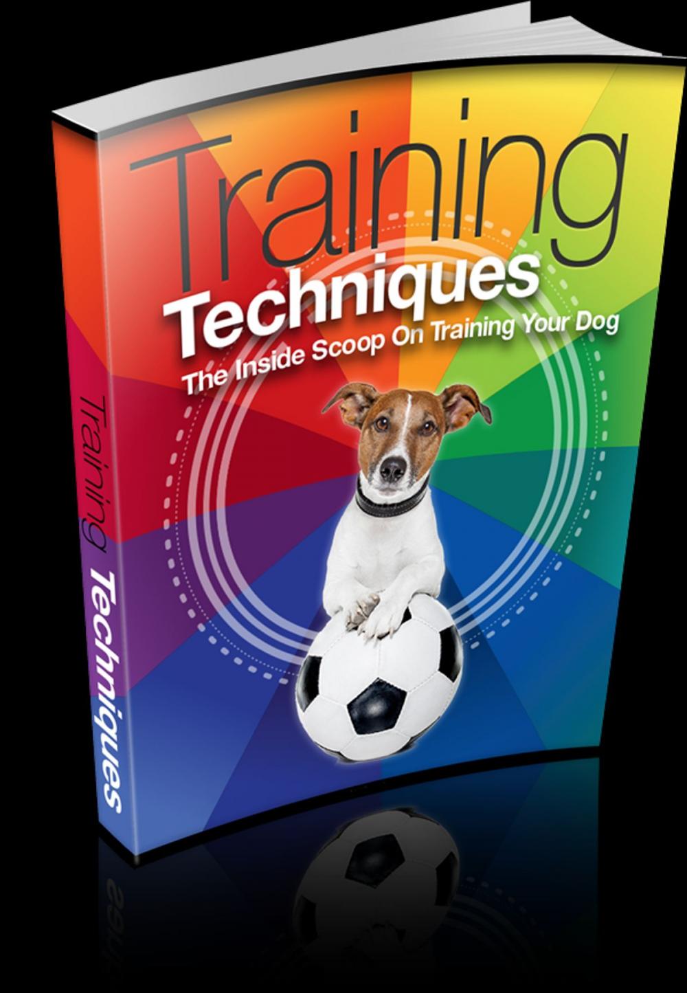 Big bigCover of Training Techniques - An Inside Scoop on Training Your Dog!