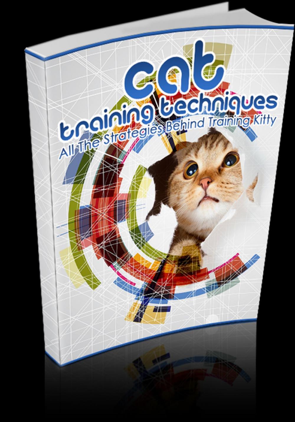 Big bigCover of Cat Training Techniques