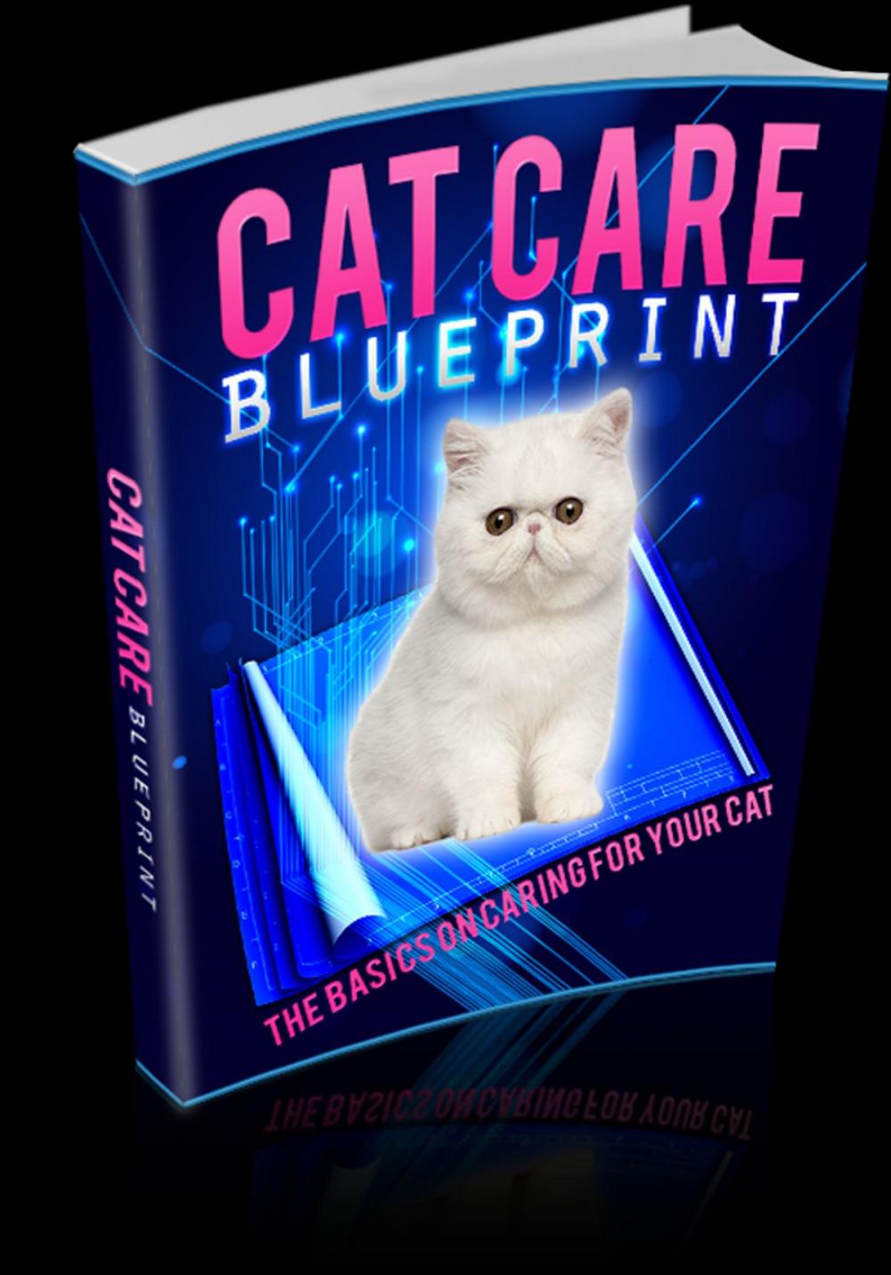 Big bigCover of Cat Care Blueprint