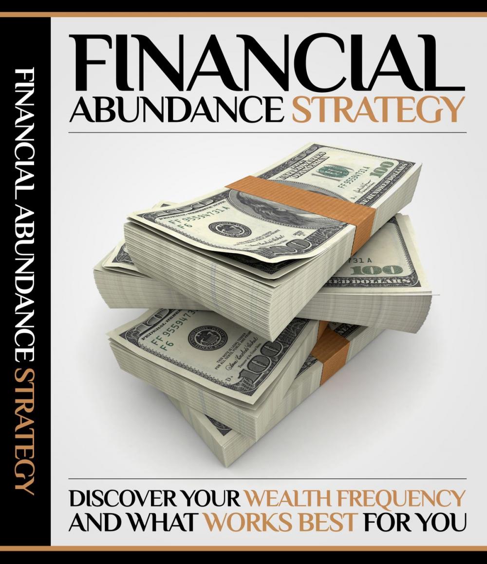 Big bigCover of Financial Abundance Strategy