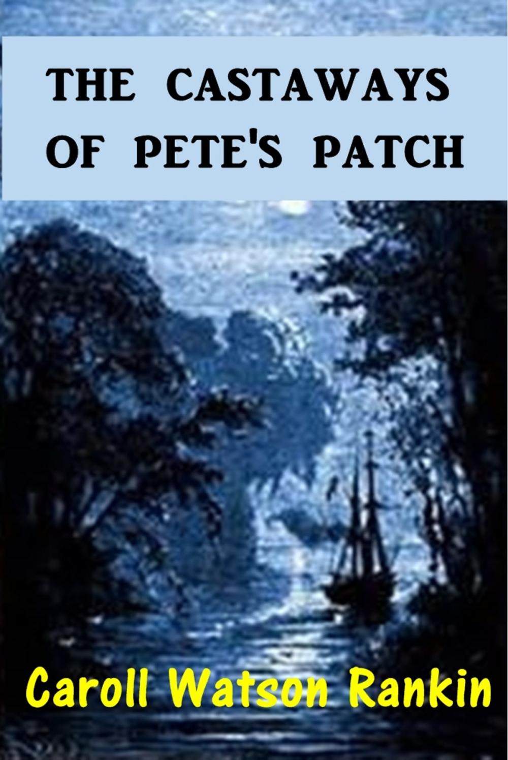 Big bigCover of The Castaways of Pete's Patch