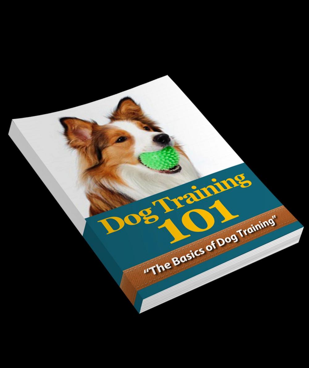 Big bigCover of Dog Training 101