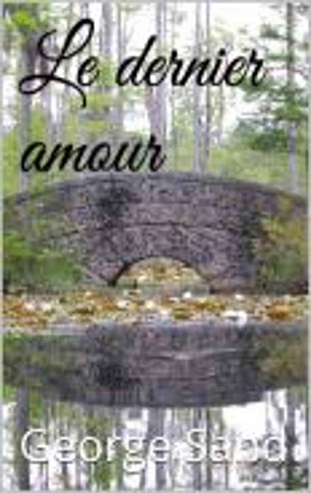 Big bigCover of Le Dernier Amour