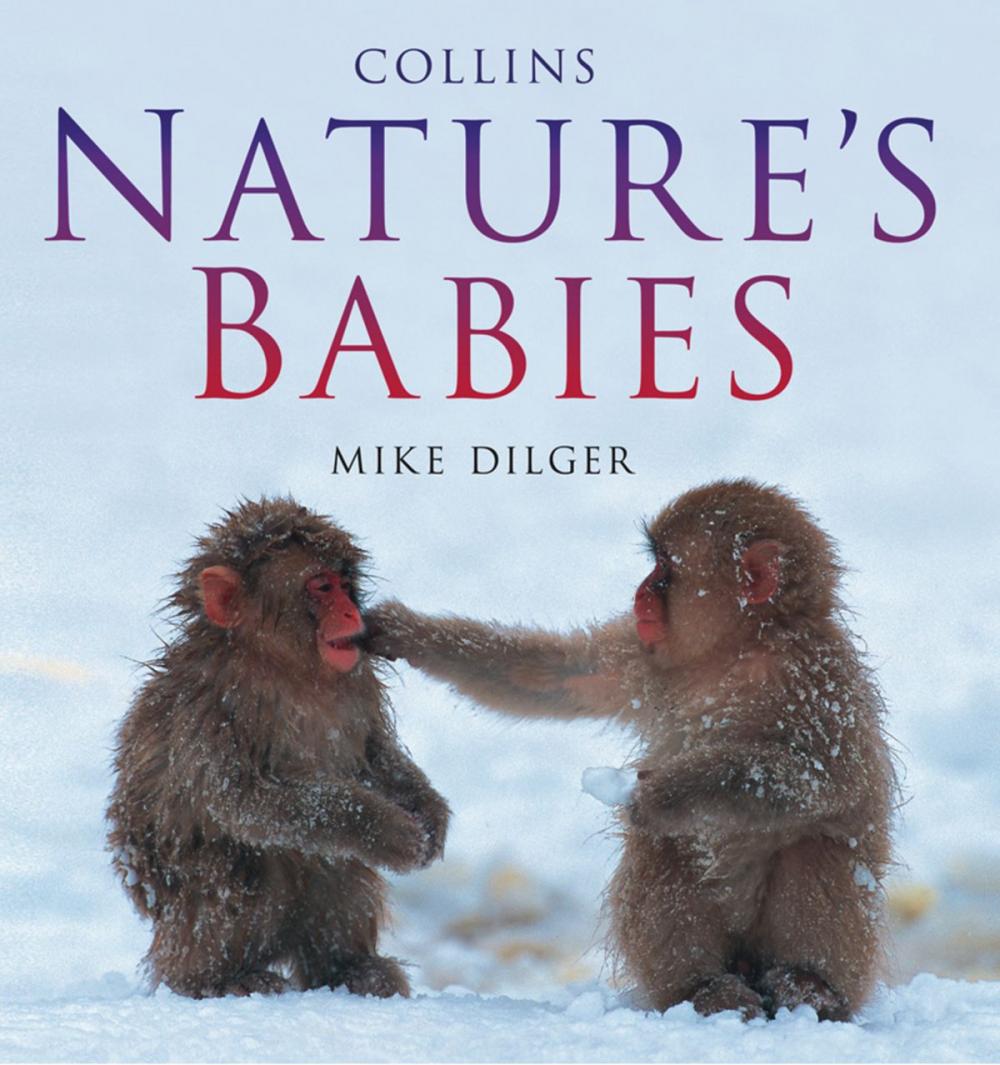 Big bigCover of Nature’s Babies