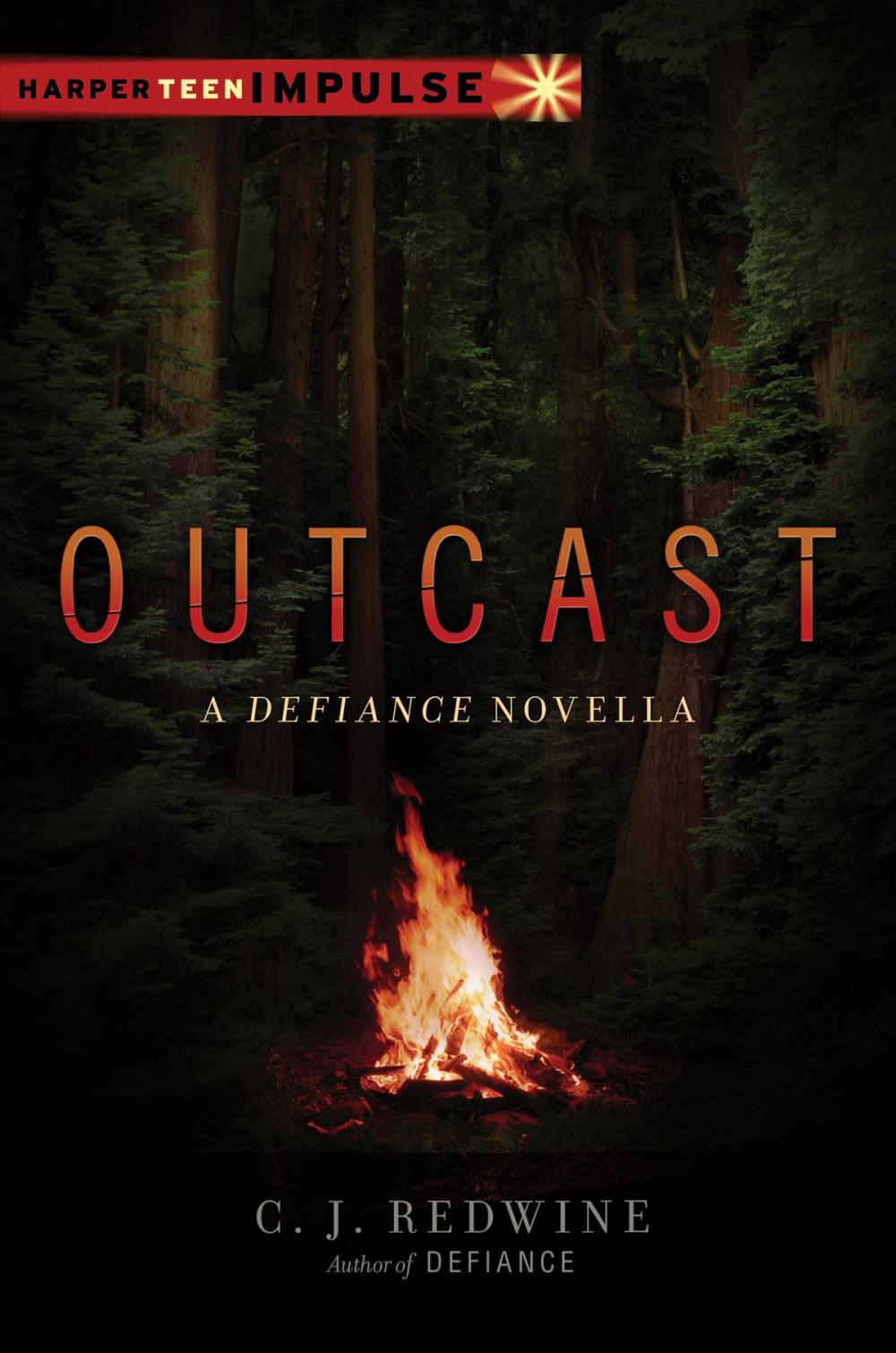 Big bigCover of Outcast