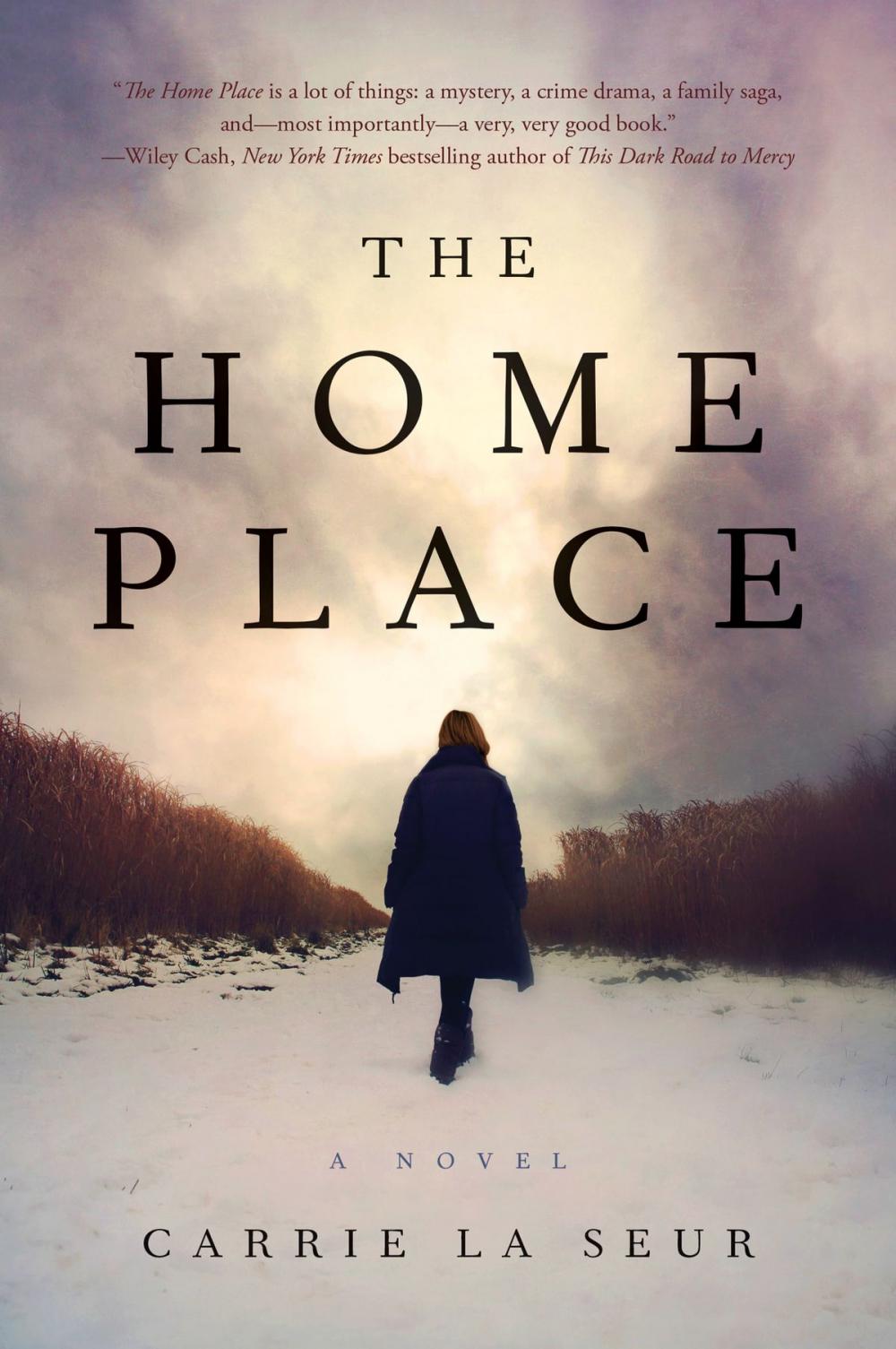 Big bigCover of The Home Place