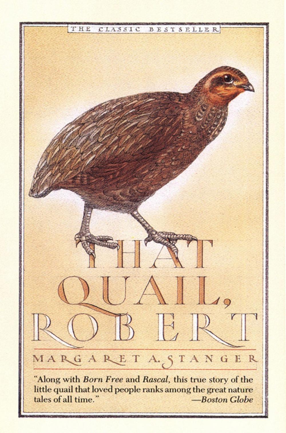 Big bigCover of That Quail, Robert