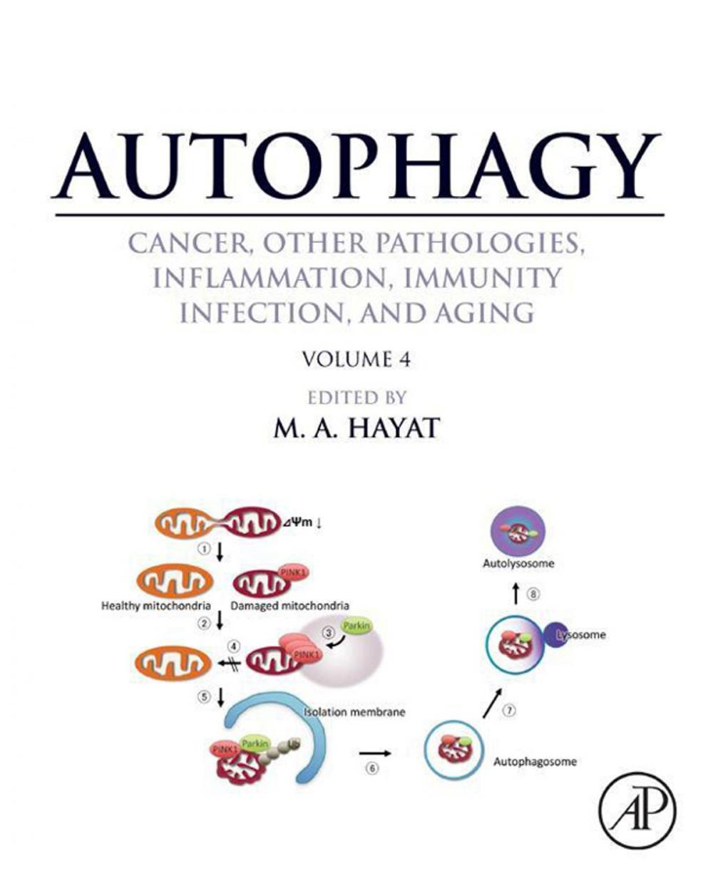 Big bigCover of Autophagy: Cancer, Other Pathologies, Inflammation, Immunity, Infection, and Aging