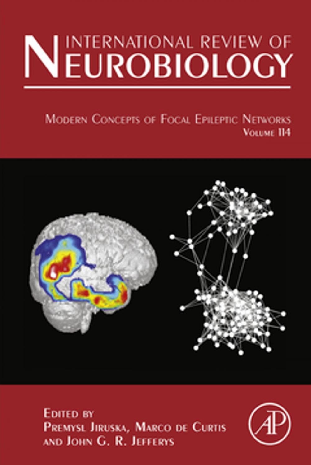 Big bigCover of Modern Concepts of Focal Epileptic Networks