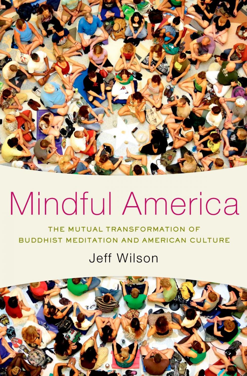 Big bigCover of Mindful America