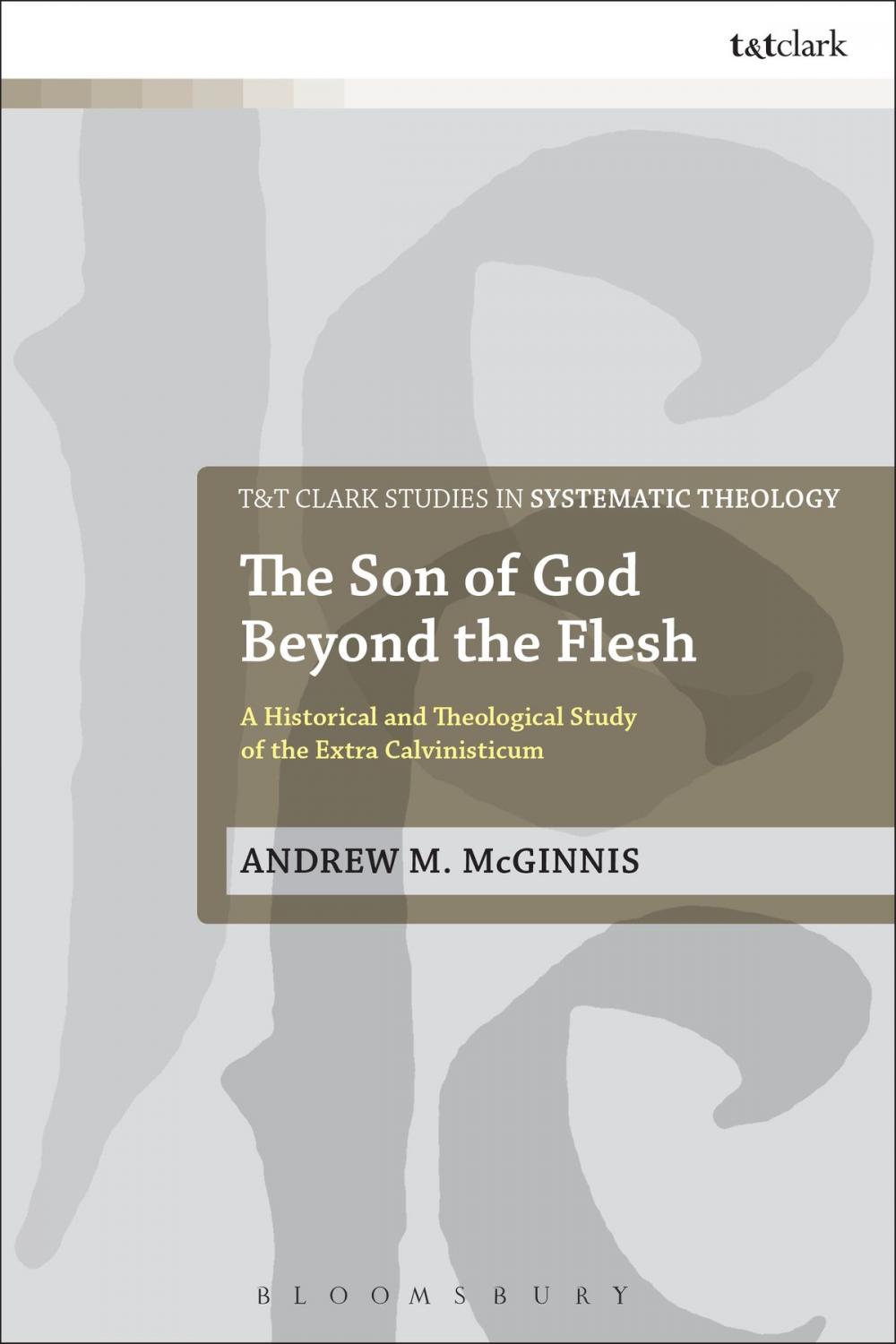 Big bigCover of The Son of God Beyond the Flesh