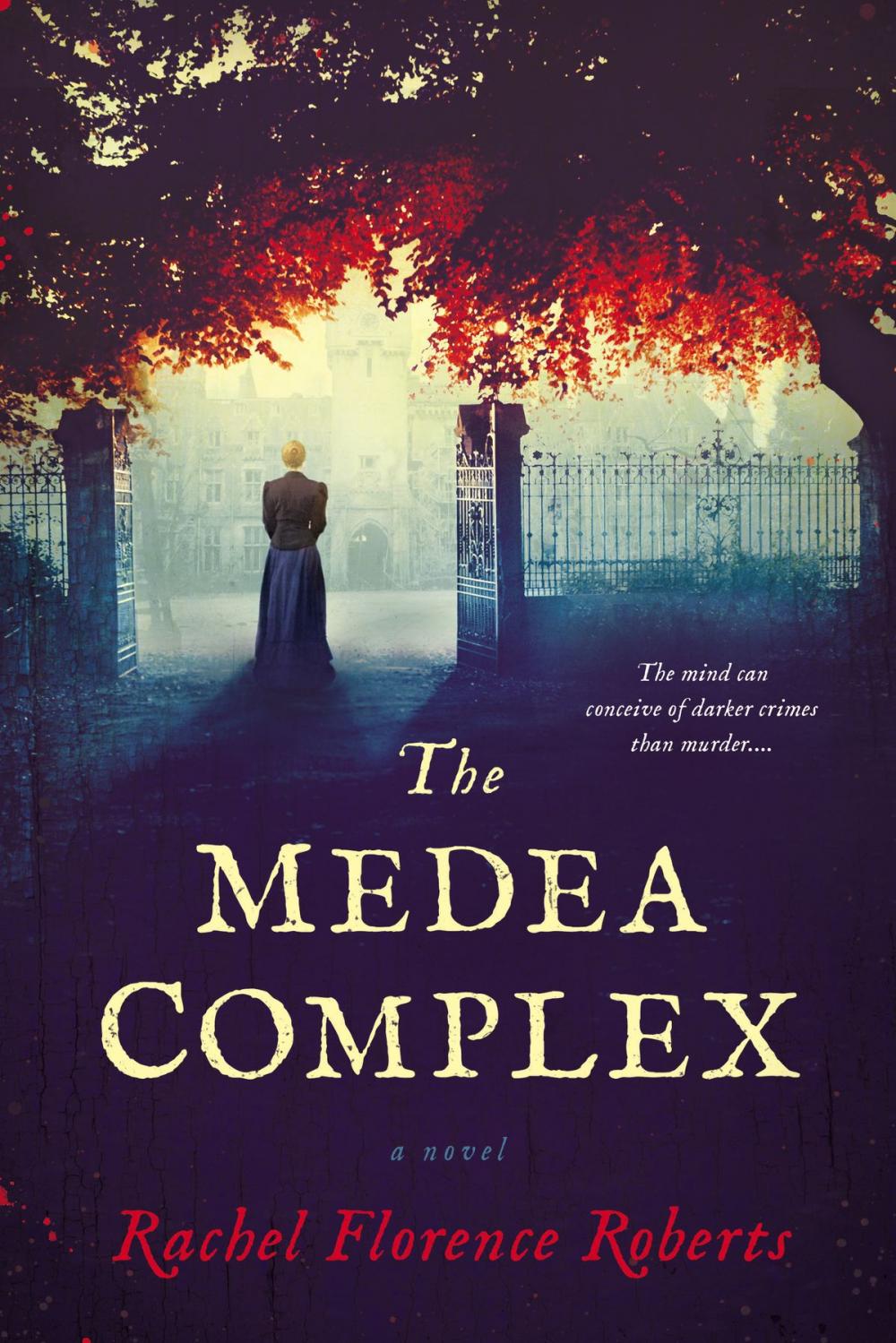 Big bigCover of The Medea Complex